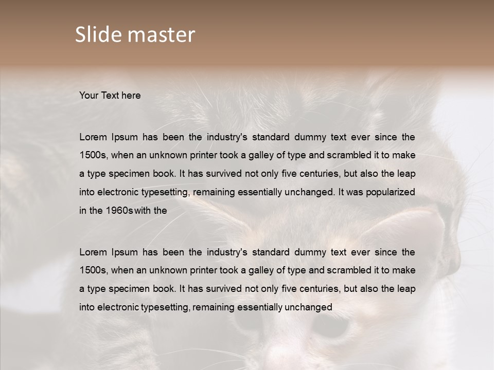 Cat Isolated Sit PowerPoint Template