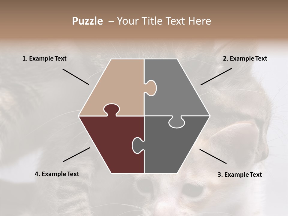 Cat Isolated Sit PowerPoint Template