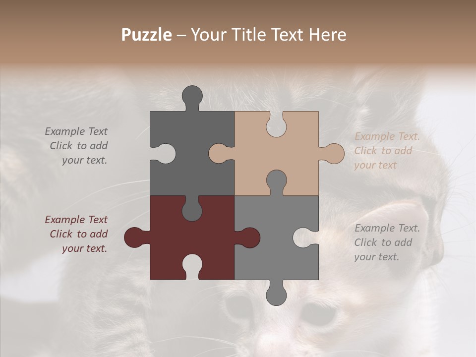 Cat Isolated Sit PowerPoint Template