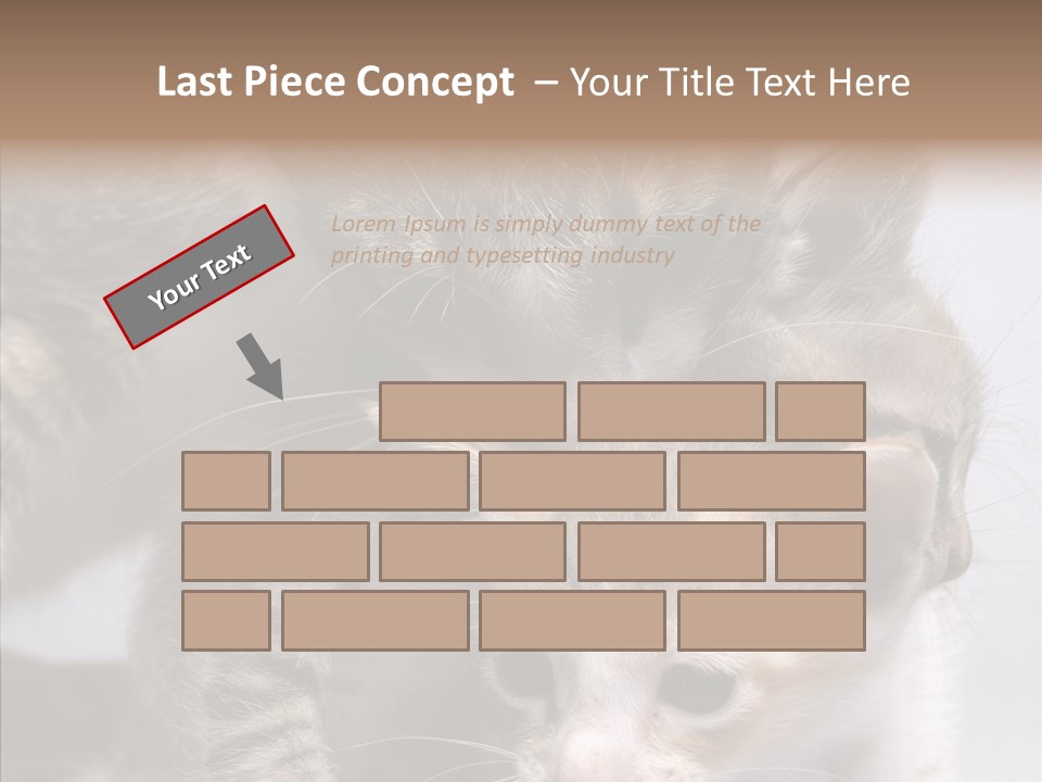 Cat Isolated Sit PowerPoint Template