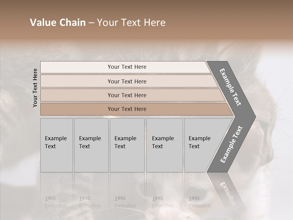 Cat Isolated Sit PowerPoint Template