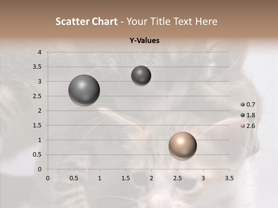 Cat Isolated Sit PowerPoint Template