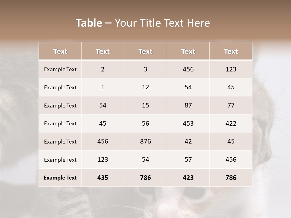Cat Isolated Sit PowerPoint Template