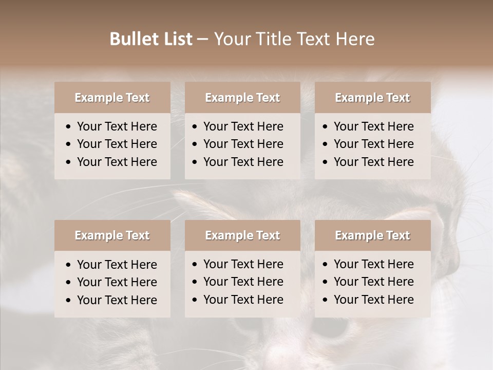 Cat Isolated Sit PowerPoint Template