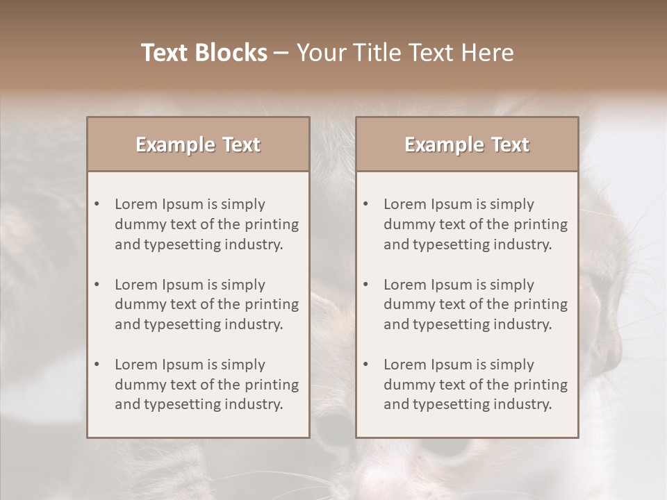 Cat Isolated Sit PowerPoint Template