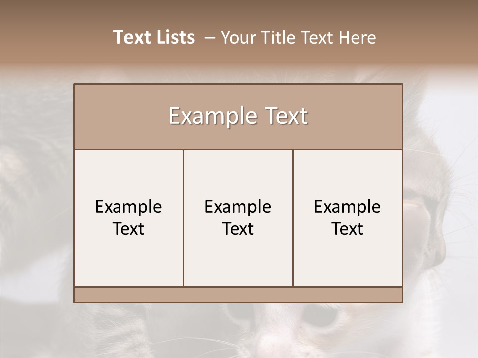 Cat Isolated Sit PowerPoint Template