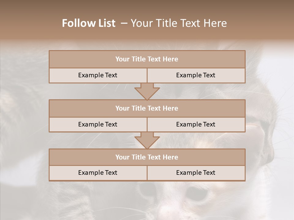 Cat Isolated Sit PowerPoint Template