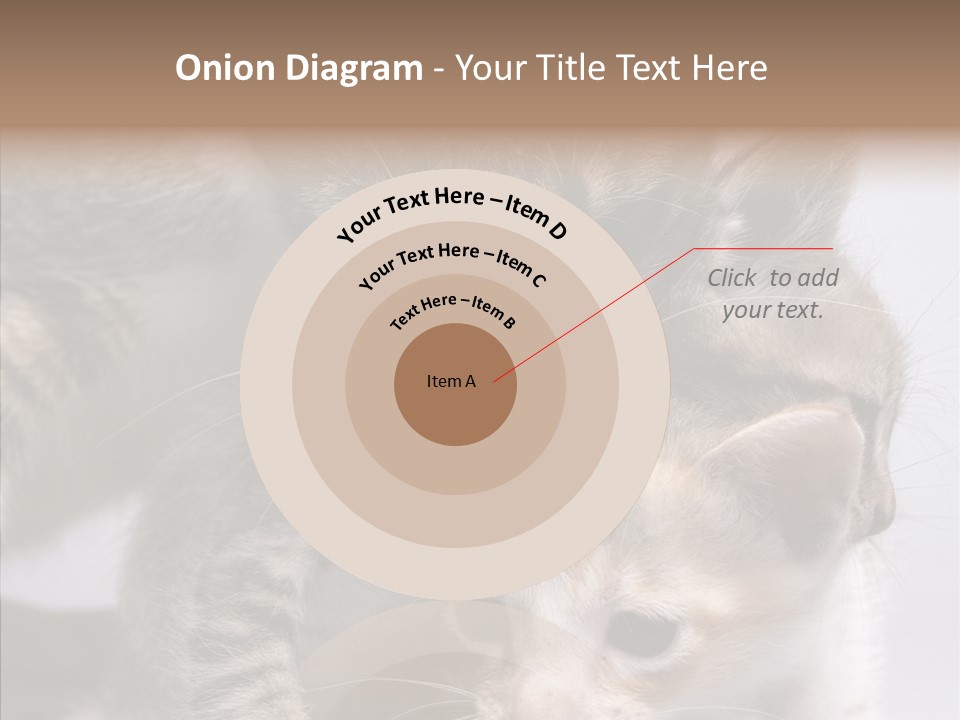 Cat Isolated Sit PowerPoint Template