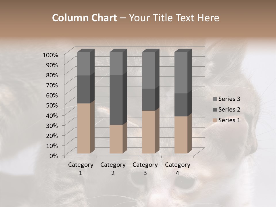 Cat Isolated Sit PowerPoint Template