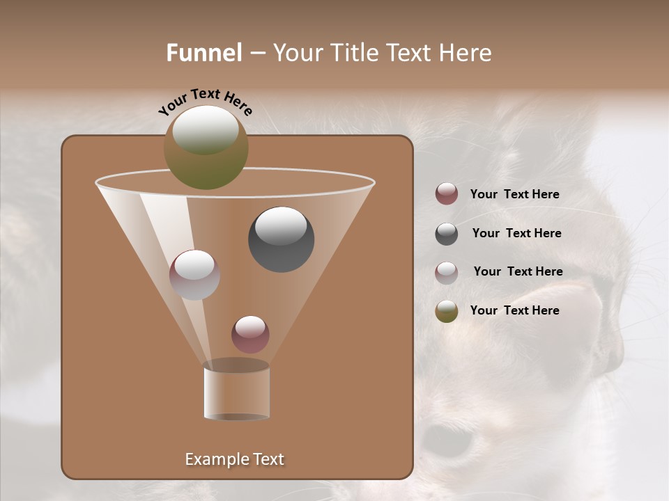 Cat Isolated Sit PowerPoint Template