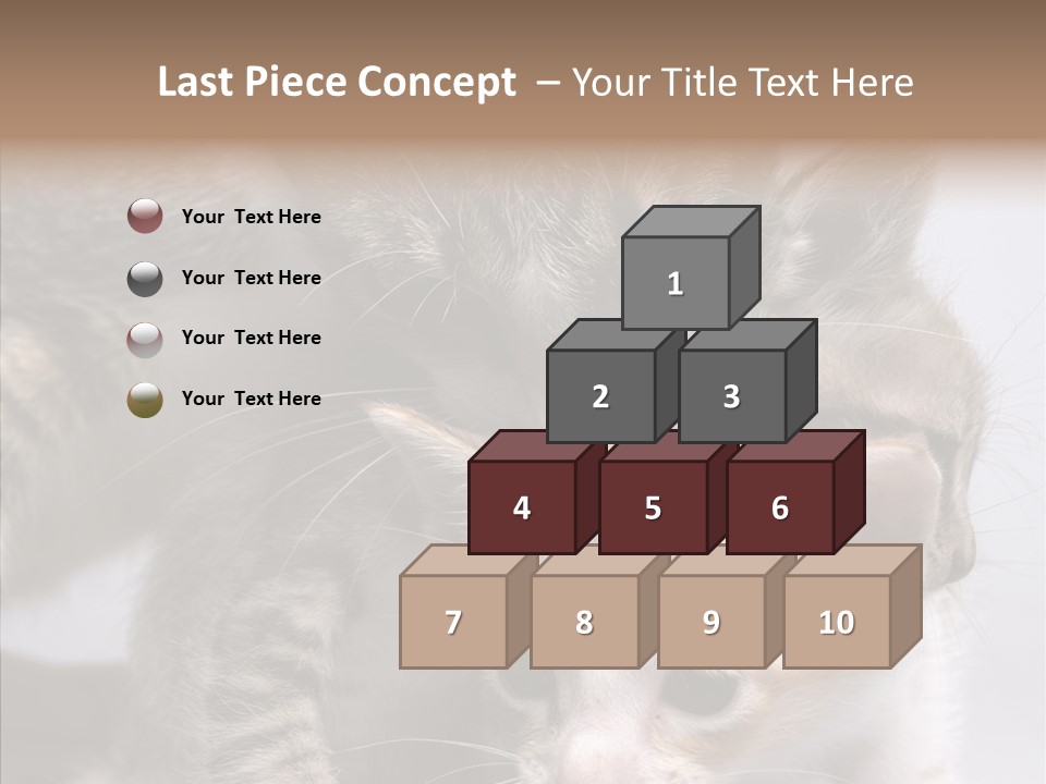 Cat Isolated Sit PowerPoint Template