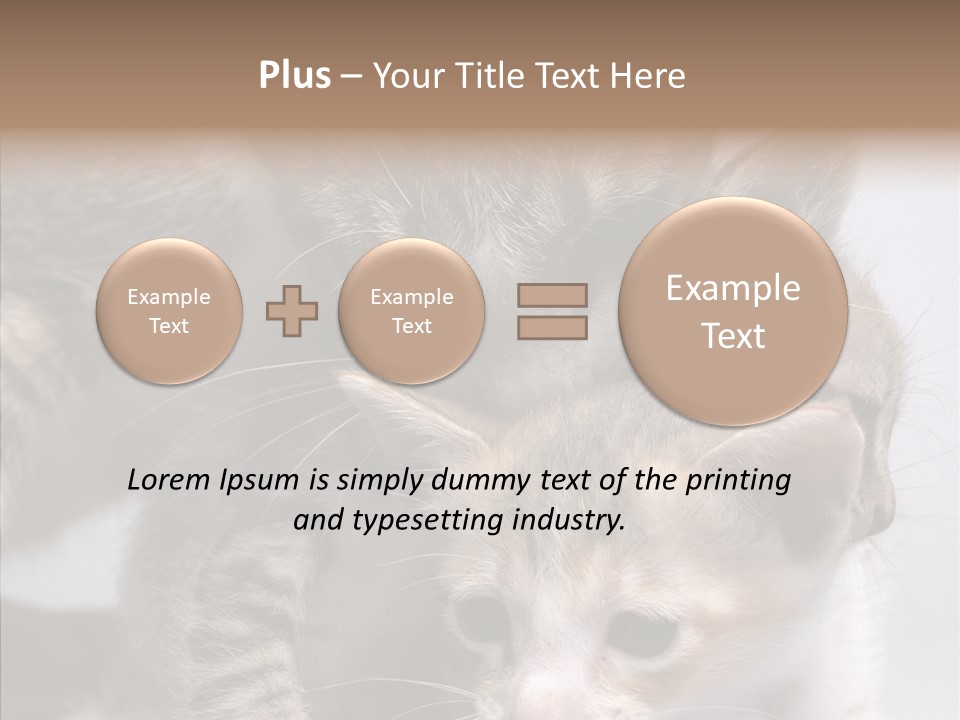 Cat Isolated Sit PowerPoint Template