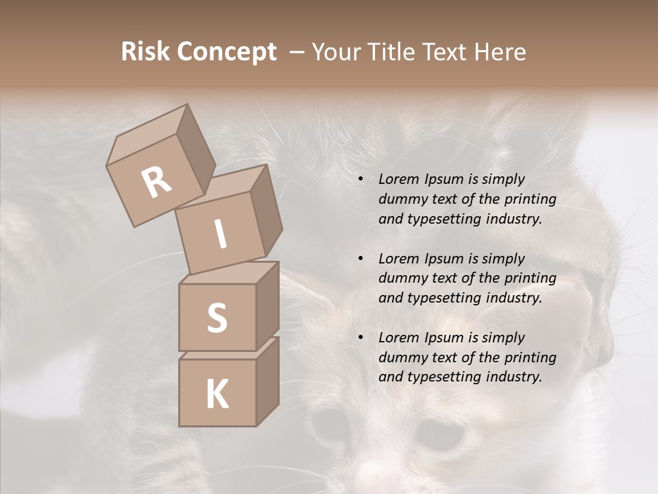 Cat Isolated Sit PowerPoint Template