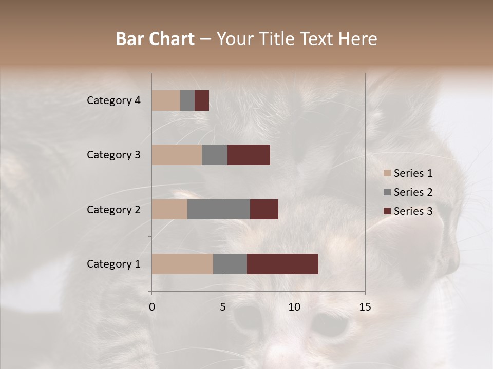Cat Isolated Sit PowerPoint Template