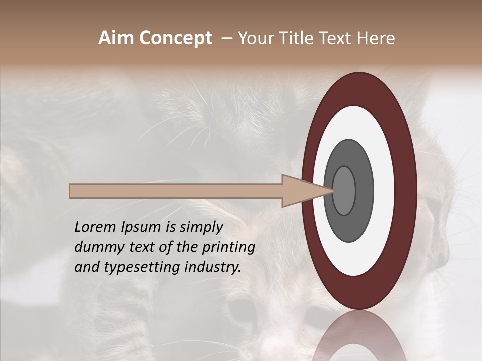 Cat Isolated Sit PowerPoint Template