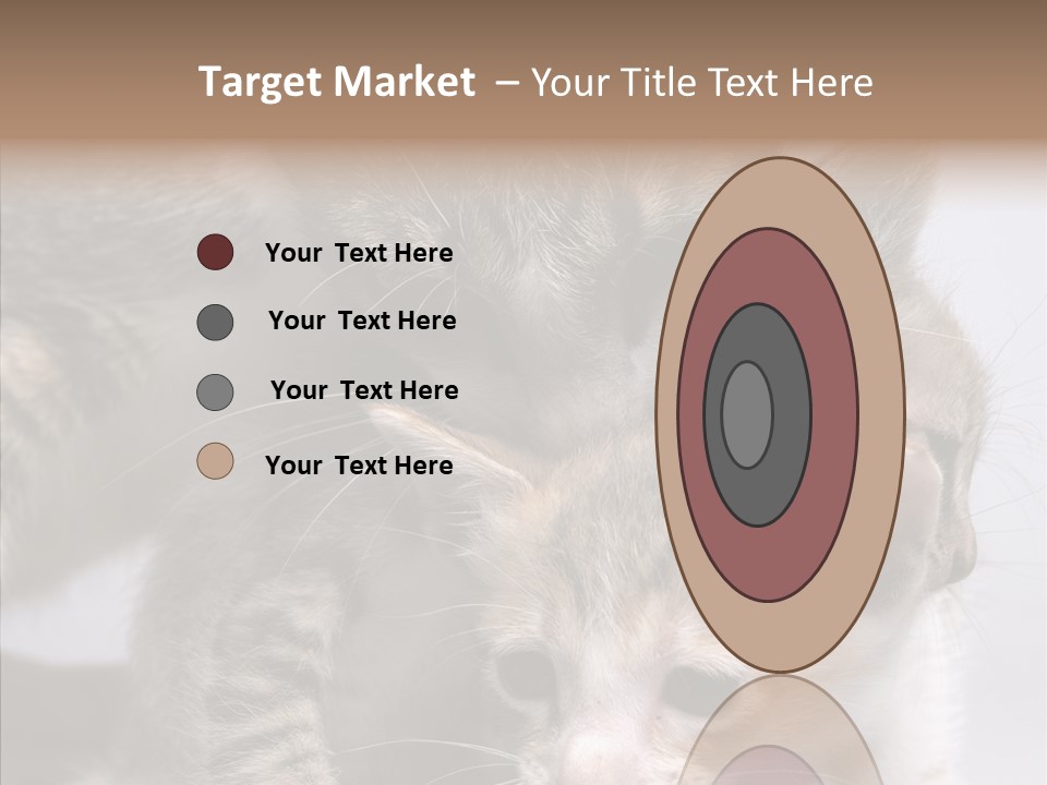 Cat Isolated Sit PowerPoint Template