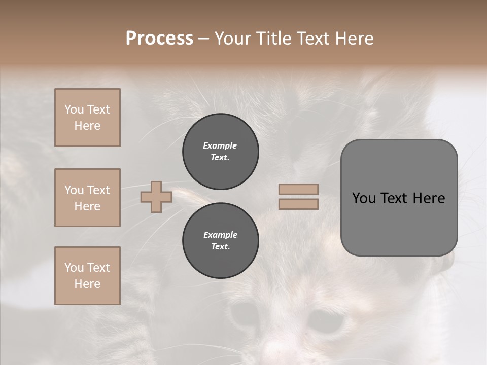 Cat Isolated Sit PowerPoint Template