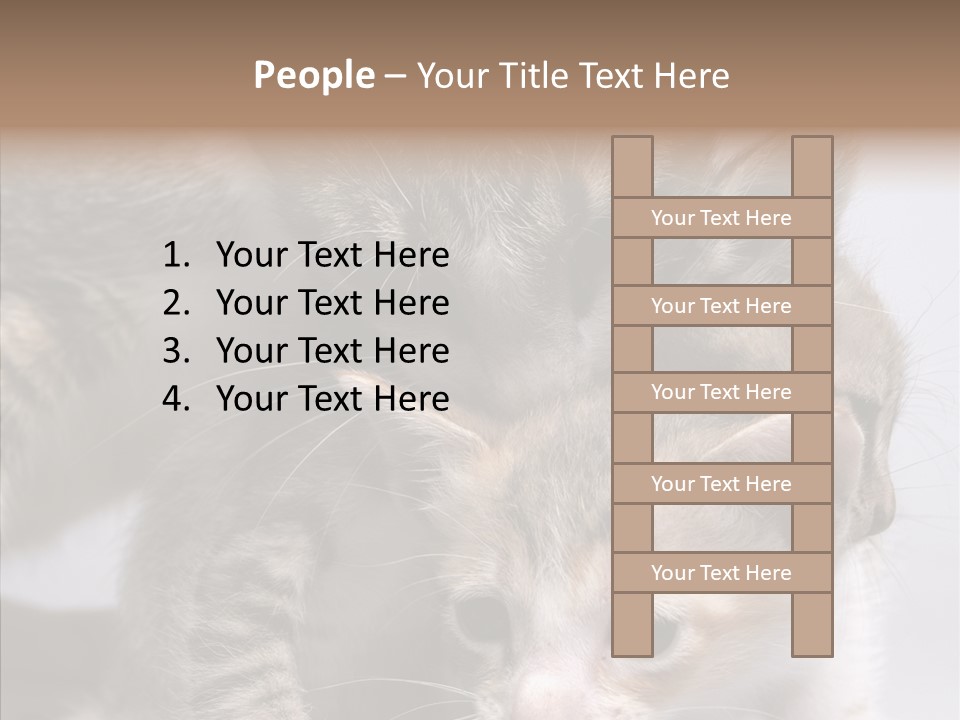 Cat Isolated Sit PowerPoint Template