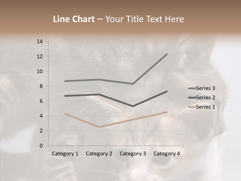 Cat Isolated Sit PowerPoint Template