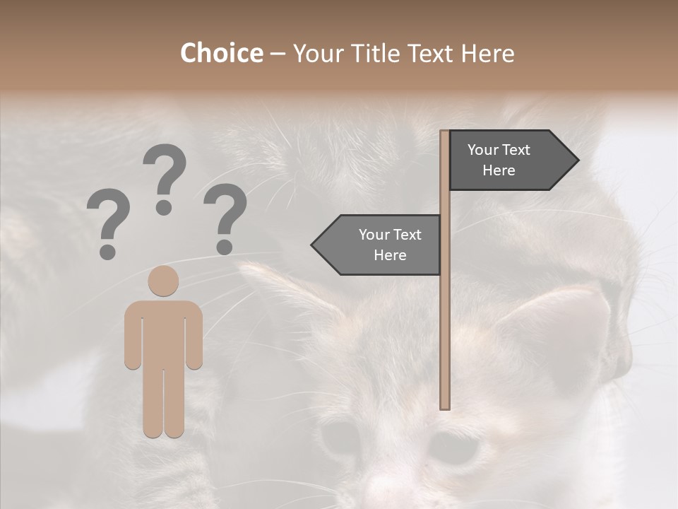 Cat Isolated Sit PowerPoint Template