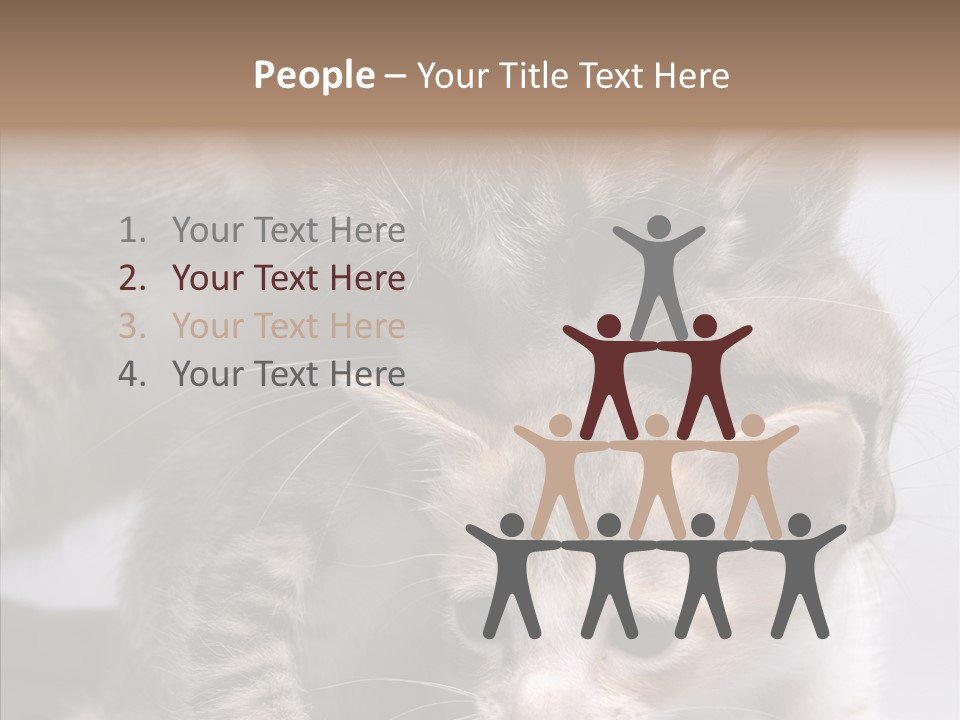 Cat Isolated Sit PowerPoint Template