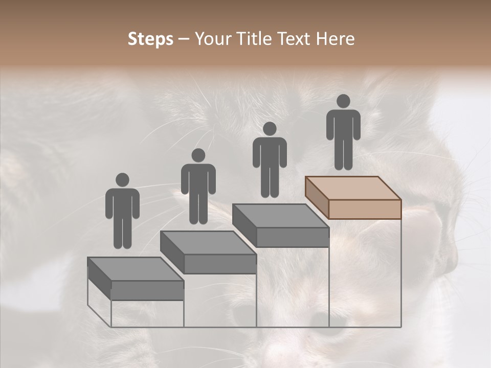 Cat Isolated Sit PowerPoint Template