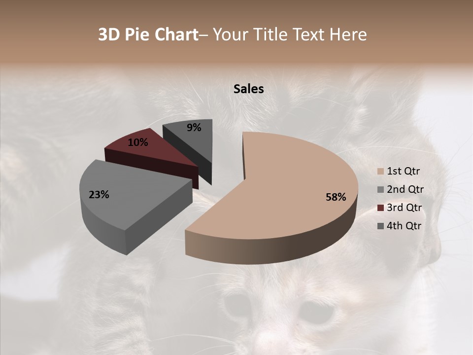 Cat Isolated Sit PowerPoint Template