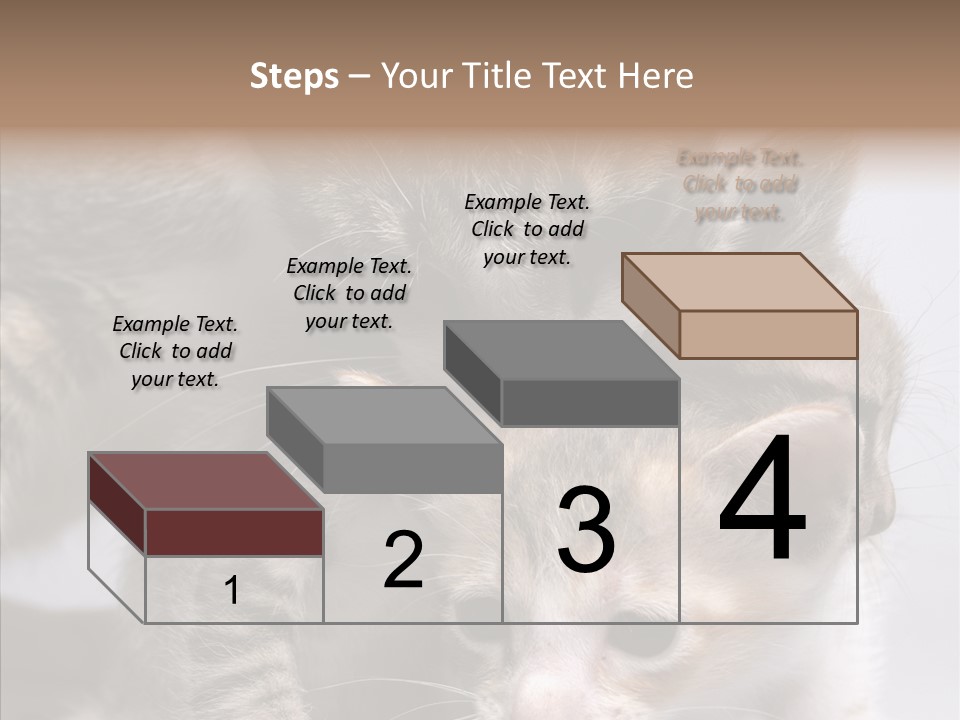 Cat Isolated Sit PowerPoint Template