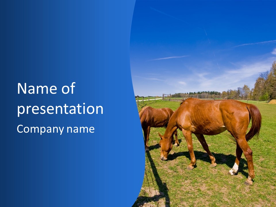 Colorful Fast Horse Racer PowerPoint Template