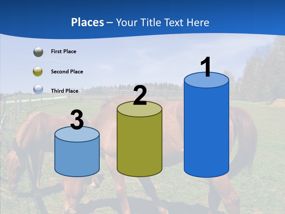 Colorful Fast Horse Racer PowerPoint Template