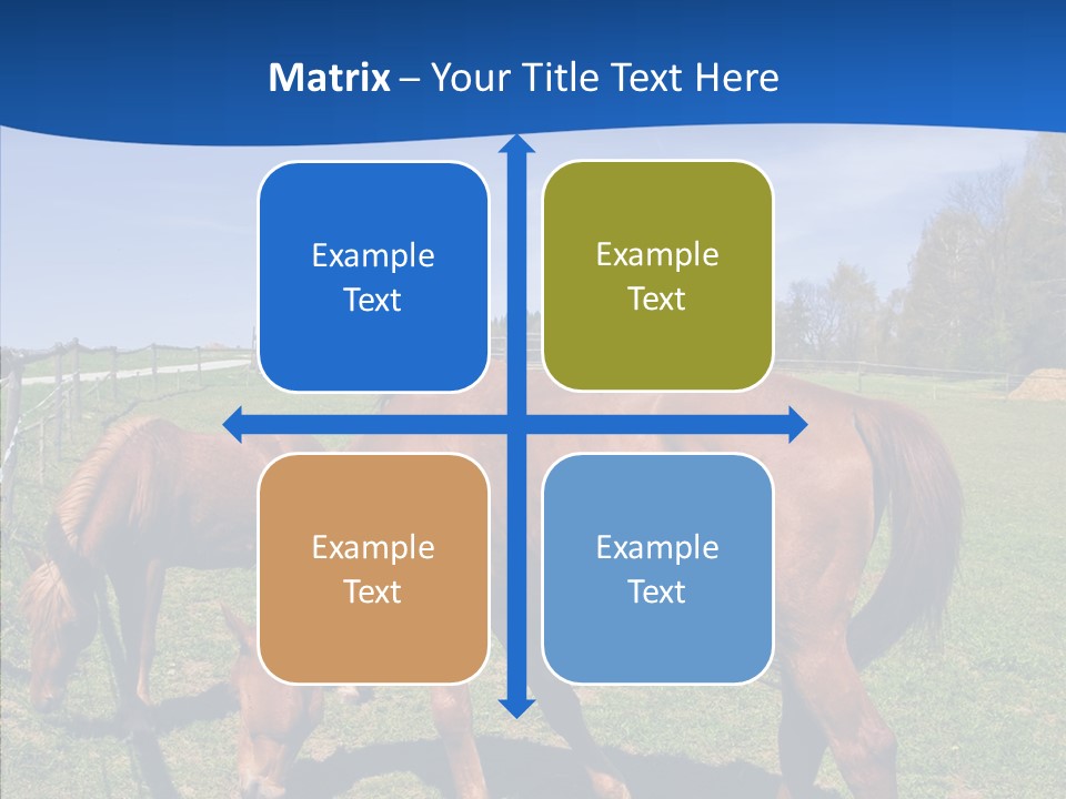 Colorful Fast Horse Racer PowerPoint Template