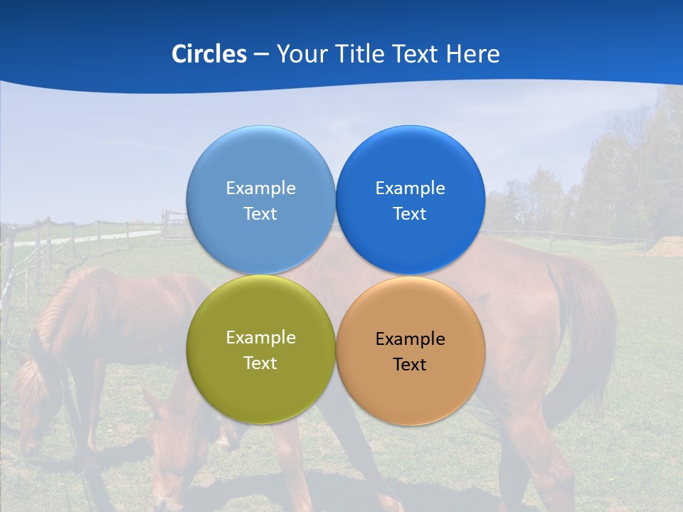 Colorful Fast Horse Racer PowerPoint Template