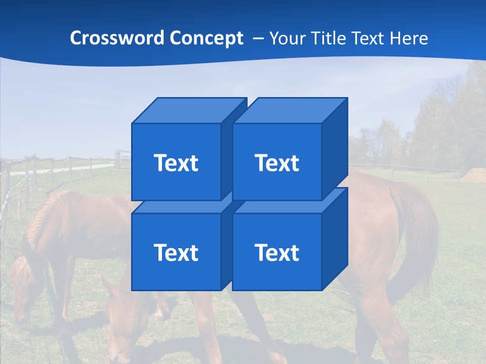 Colorful Fast Horse Racer PowerPoint Template