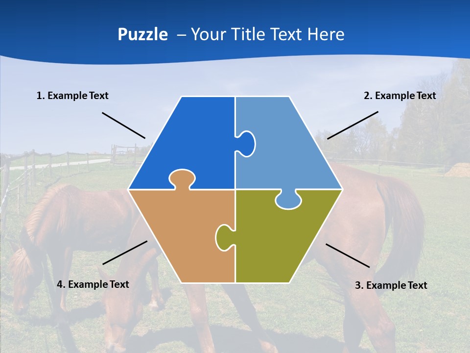 Colorful Fast Horse Racer PowerPoint Template