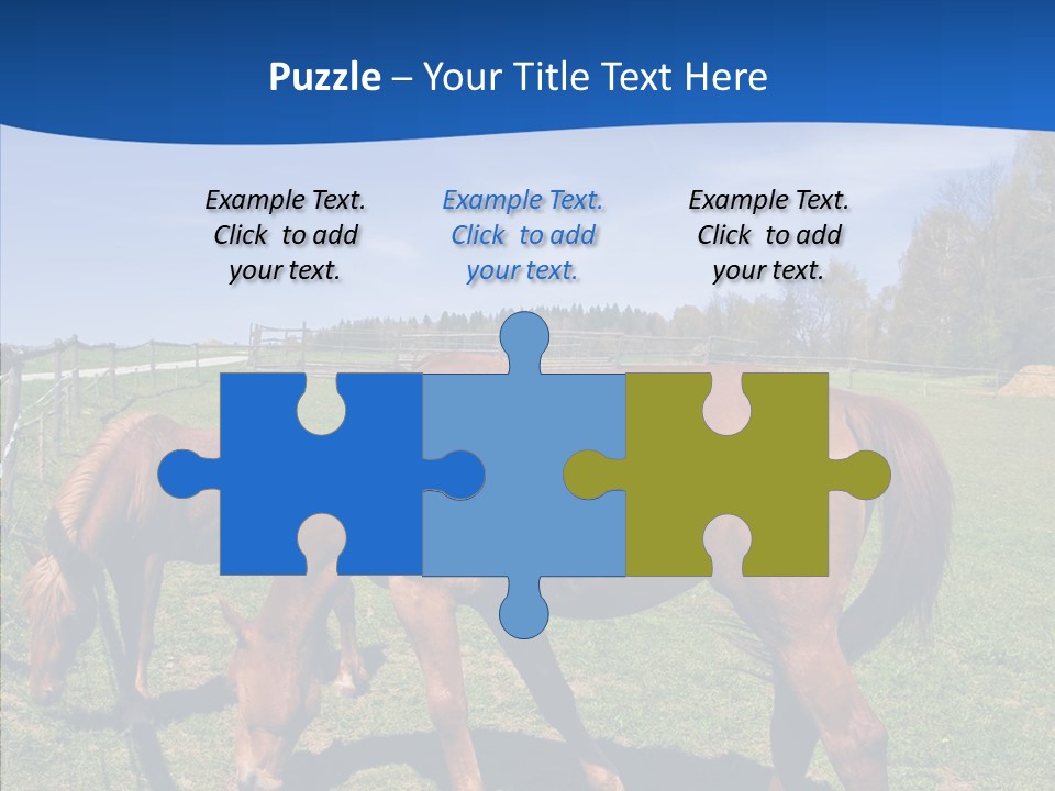 Colorful Fast Horse Racer PowerPoint Template