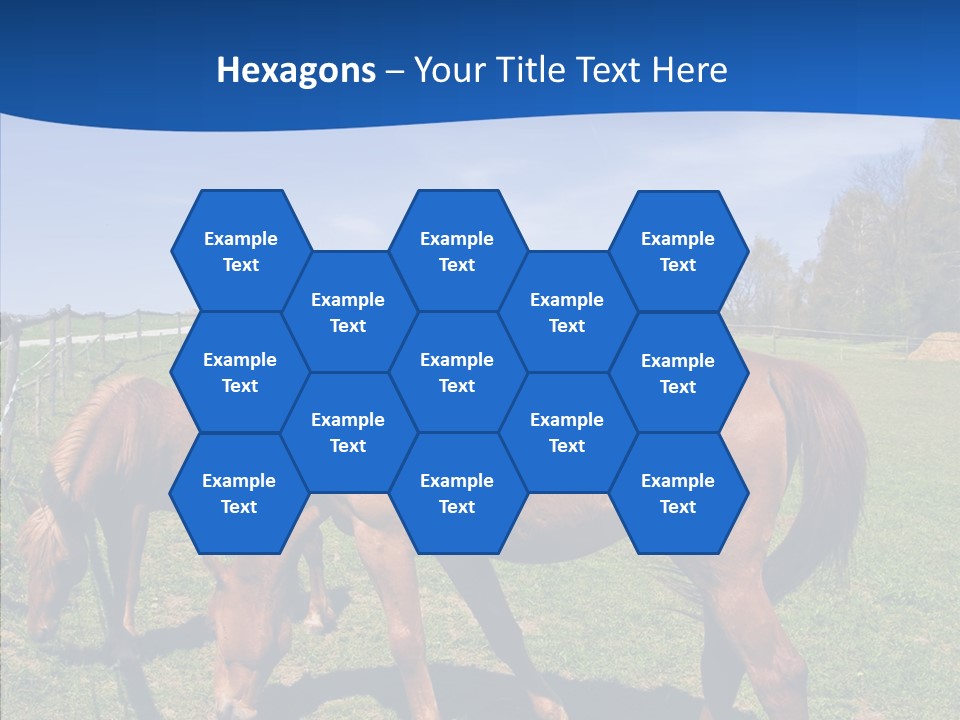 Colorful Fast Horse Racer PowerPoint Template