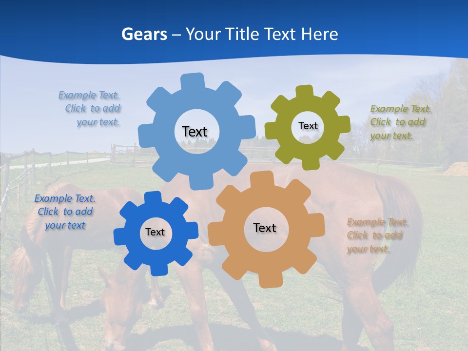 Colorful Fast Horse Racer PowerPoint Template