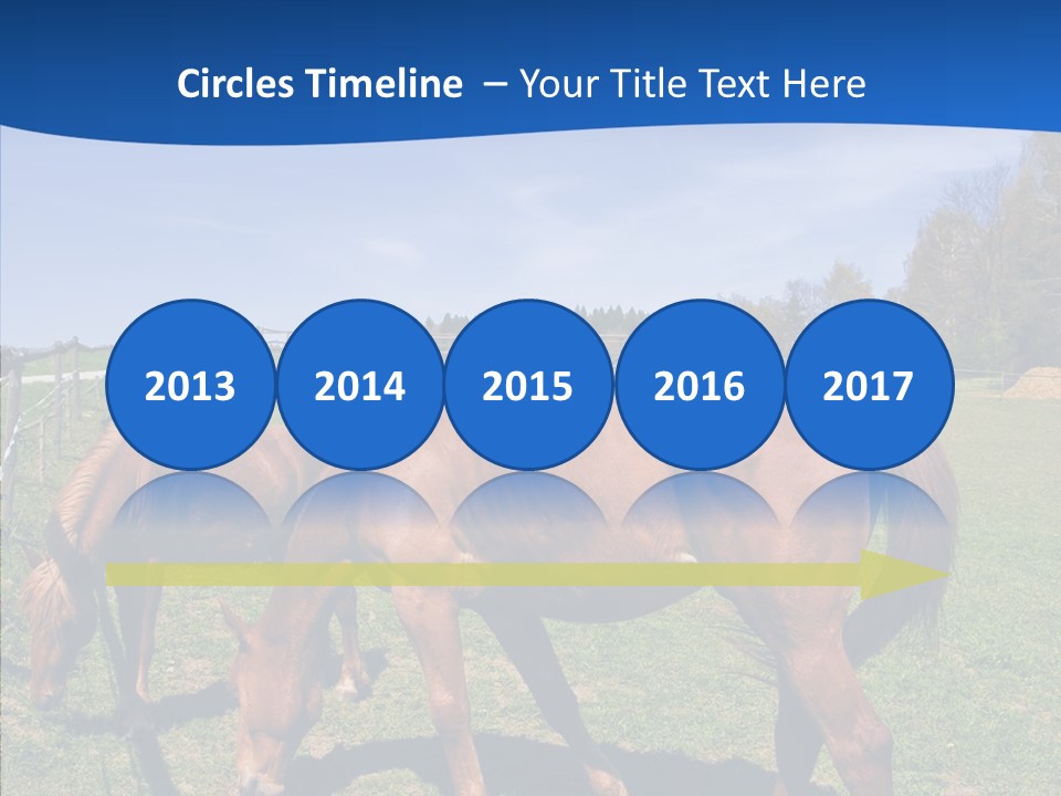 Colorful Fast Horse Racer PowerPoint Template