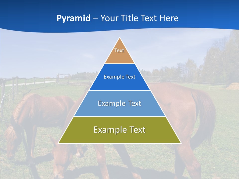 Colorful Fast Horse Racer PowerPoint Template