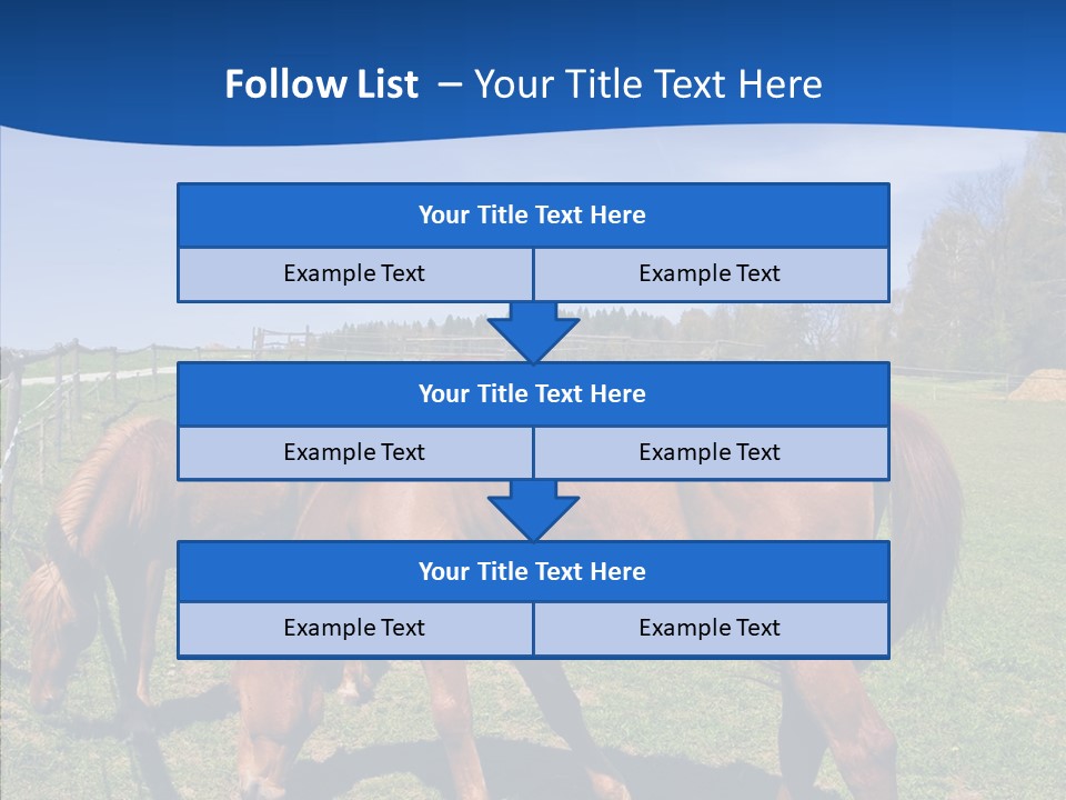 Colorful Fast Horse Racer PowerPoint Template