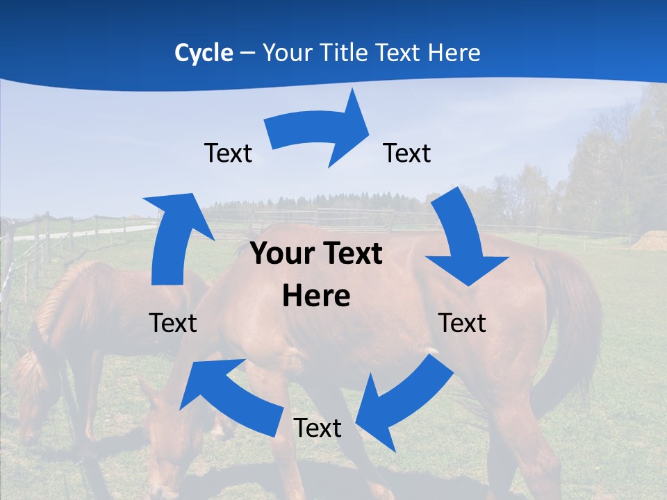 Colorful Fast Horse Racer PowerPoint Template