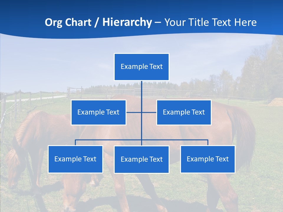 Colorful Fast Horse Racer PowerPoint Template