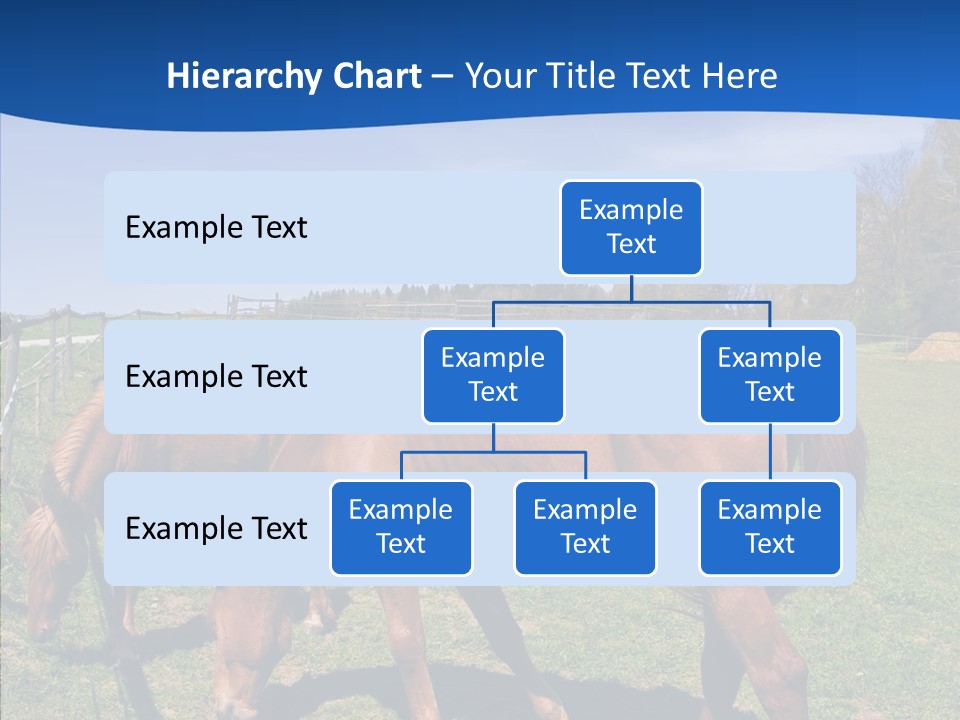 Colorful Fast Horse Racer PowerPoint Template
