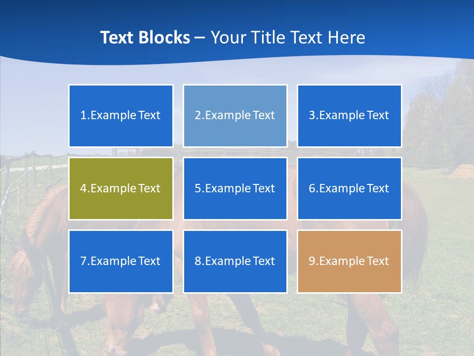 Colorful Fast Horse Racer PowerPoint Template