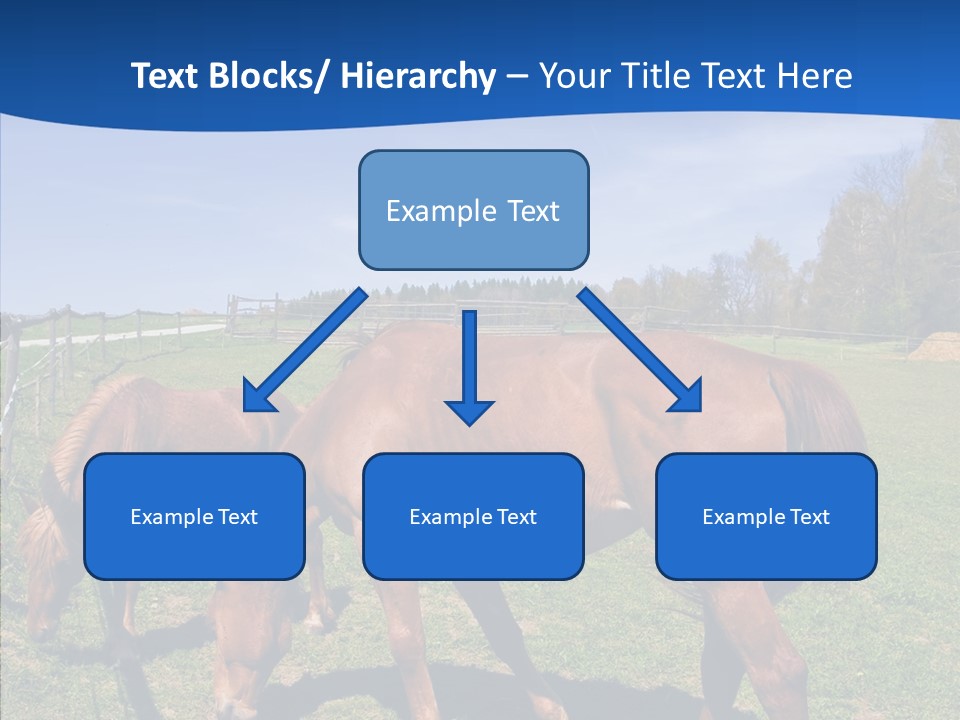 Colorful Fast Horse Racer PowerPoint Template