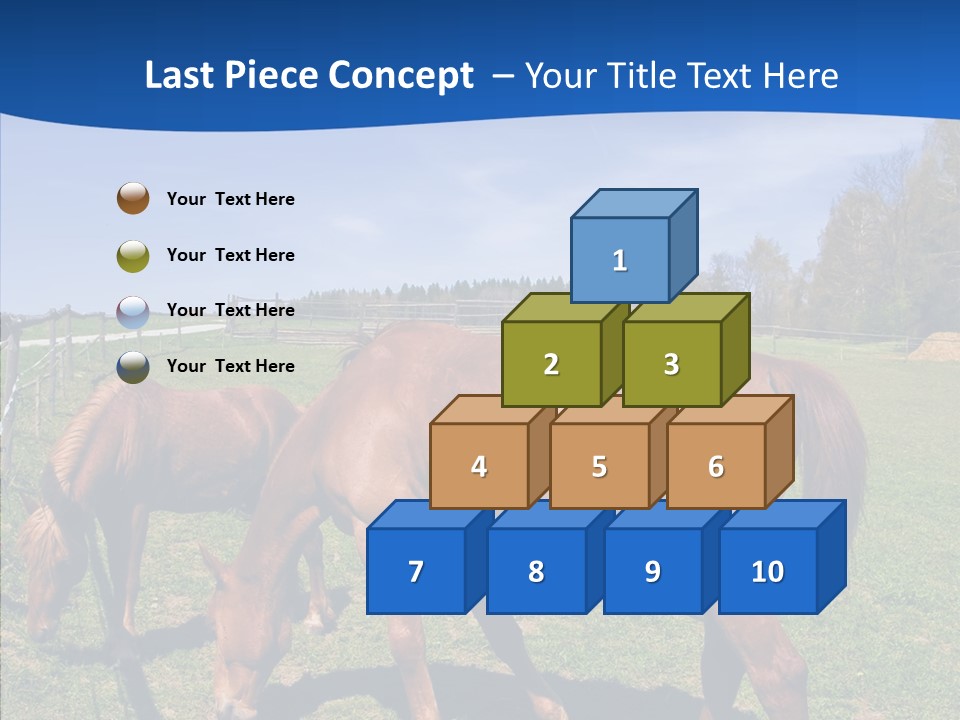 Colorful Fast Horse Racer PowerPoint Template