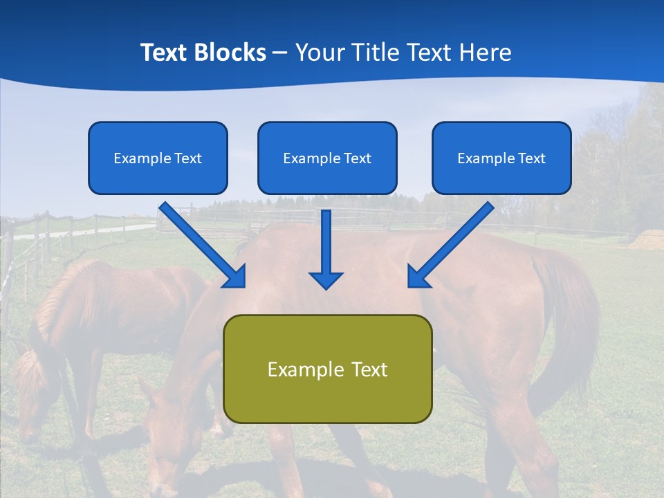 Colorful Fast Horse Racer PowerPoint Template