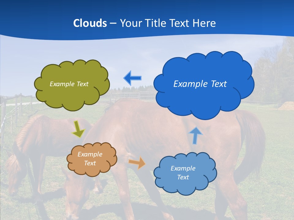 Colorful Fast Horse Racer PowerPoint Template