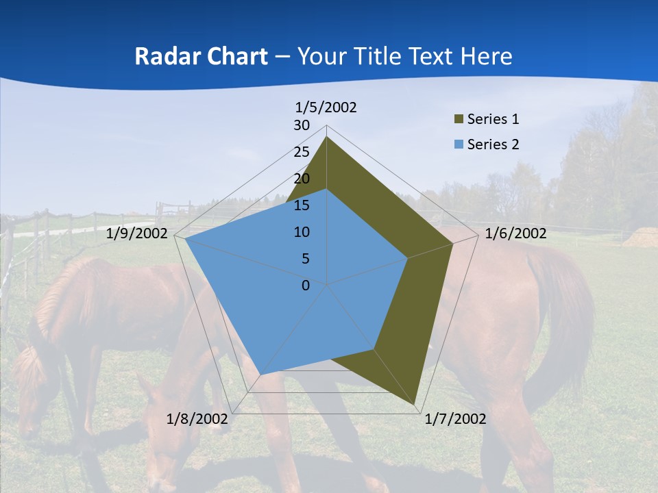 Colorful Fast Horse Racer PowerPoint Template