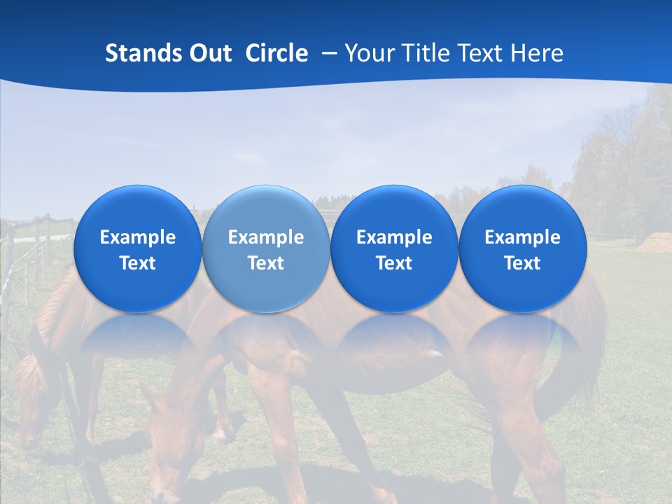 Colorful Fast Horse Racer PowerPoint Template